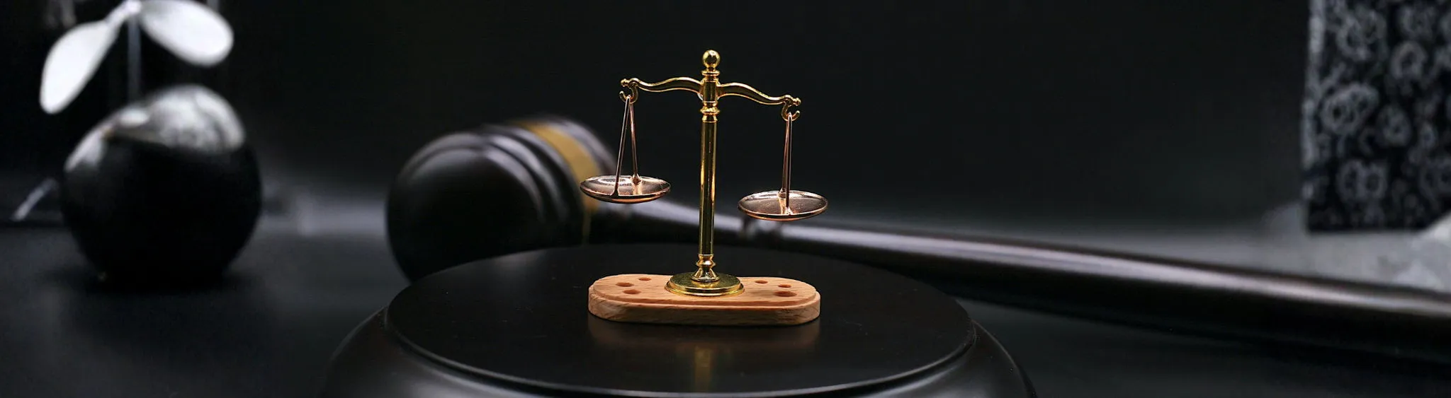 Business Technology for Law Firms and Professional Services in Townsville and North Queensland